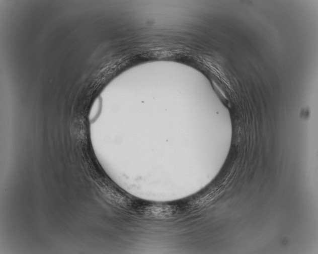 X0000094820317200712141650