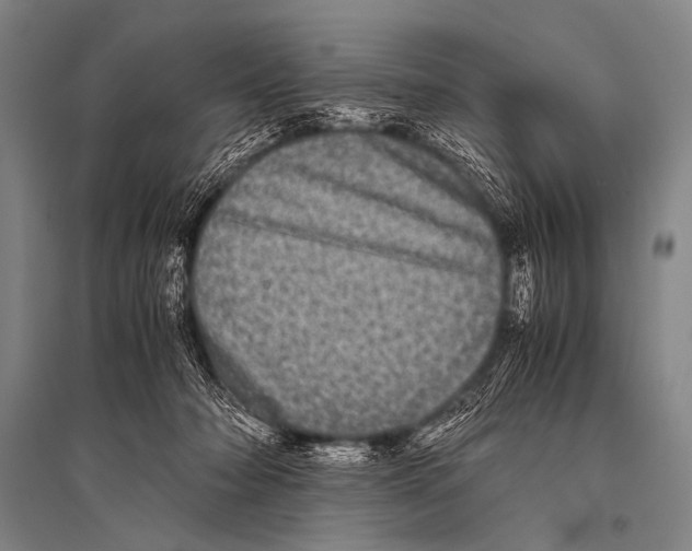 X0000094820318200712141650