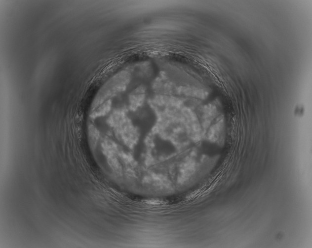 X0000094820319200712141650