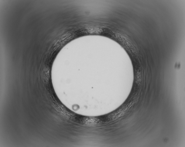 X0000094820321200712141650