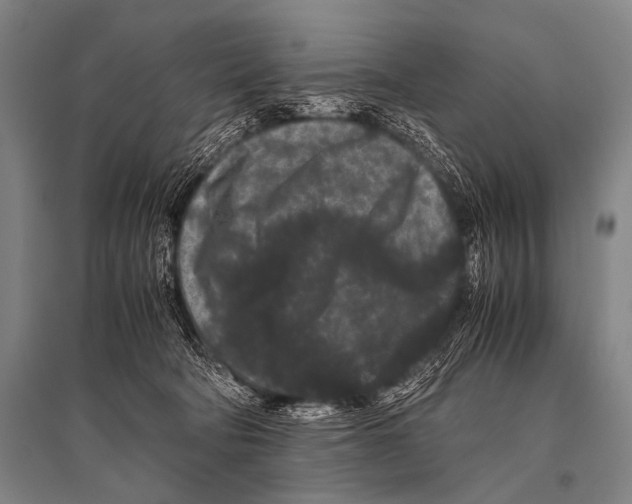 X0000094820322200712141650