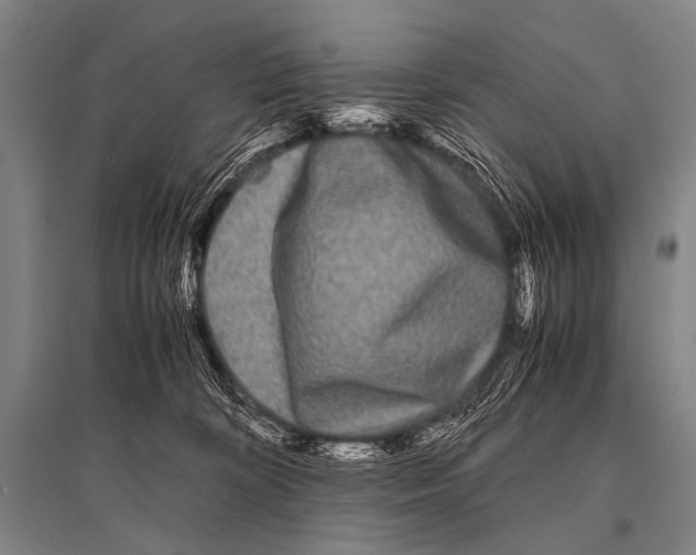 X0000094820324200712141650