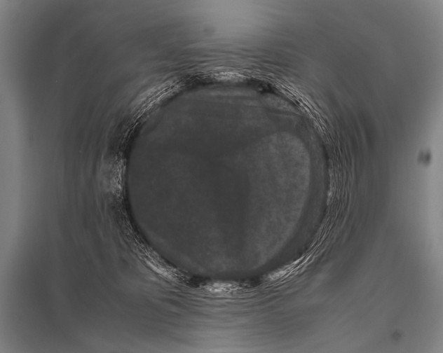 X0000094820325200712141650