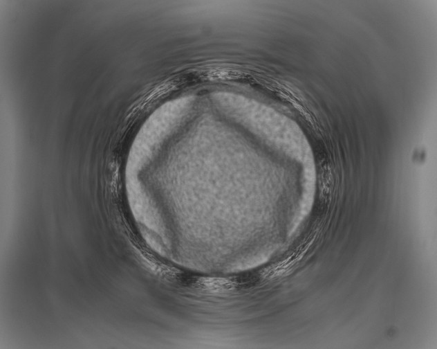 X0000094820327200712141650