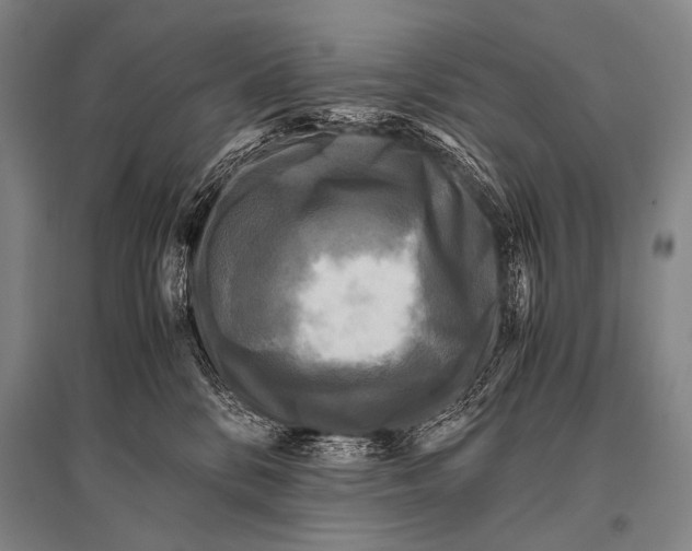 X0000094820328200712141650