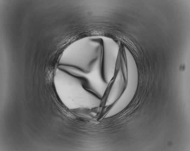 X0000094820329200712141650