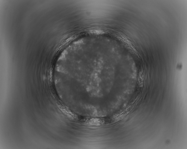 X0000094820330200712141650