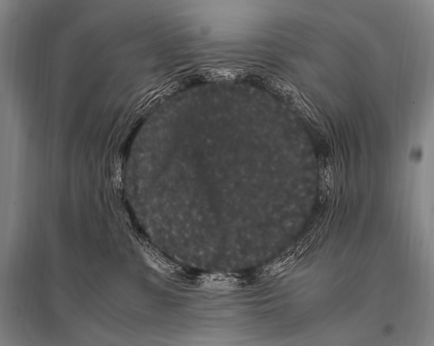 X0000094820331200712141650