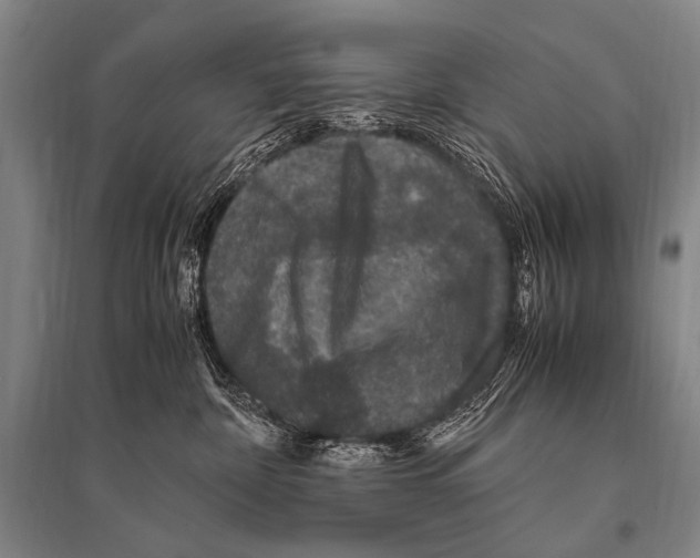 X0000094820332200712141650