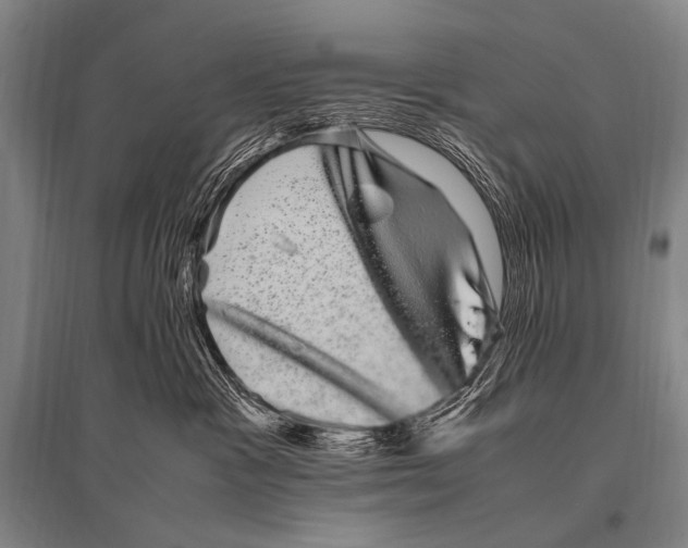 X0000094820333200712141650