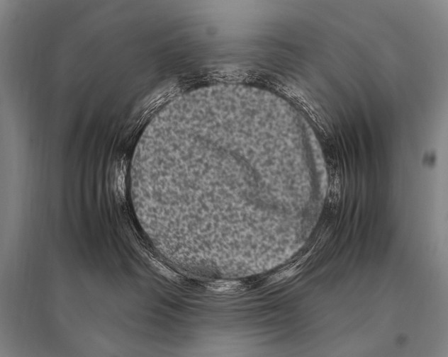 X0000094820334200712141650