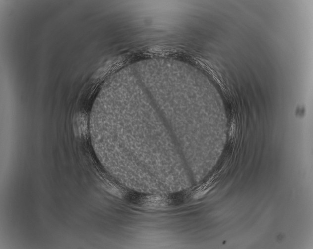 X0000094820335200712141650