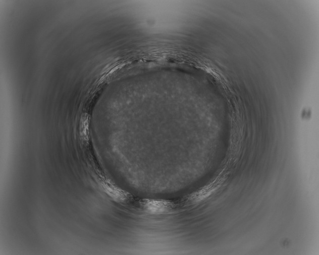 X0000094820336200712141650