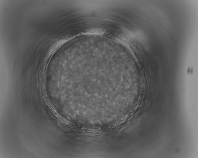 X0000094820337200712141649