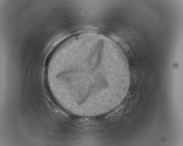 X0000094820338200712141649