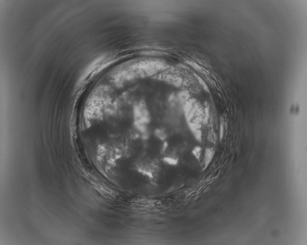 X0000094820339200712141649