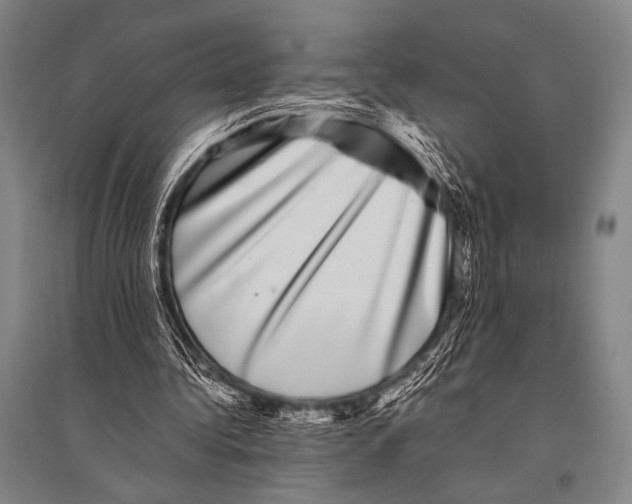 X0000094820340200712141650