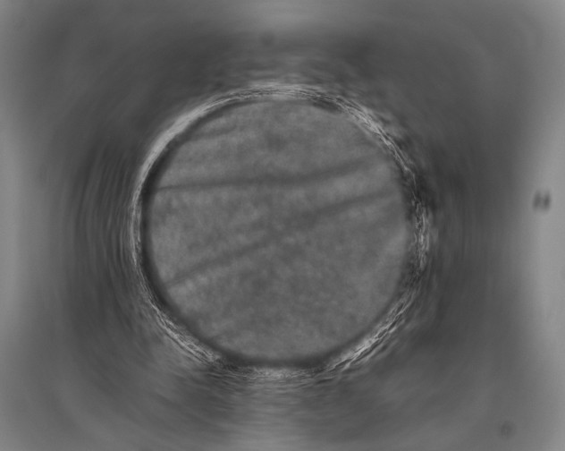 X0000094820342200712141650