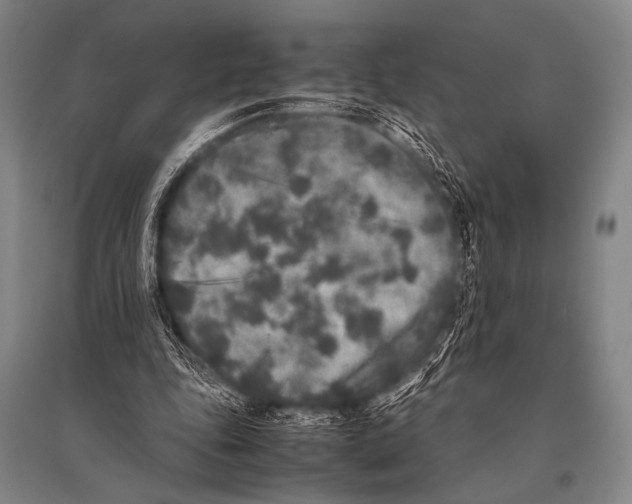 X0000094820343200712141650