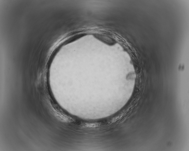 X0000094820344200712141650