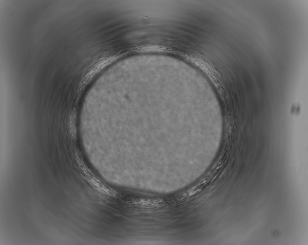 X0000094820345200712141650