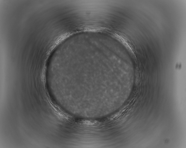 X0000094820346200712141650