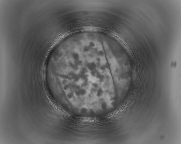 X0000094820347200712141650