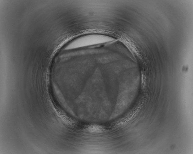 X0000094820348200712141650