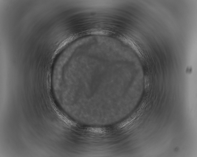 X0000094820349200712141650