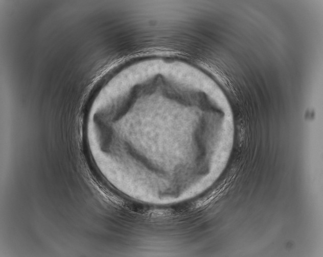 X0000094820350200712141650