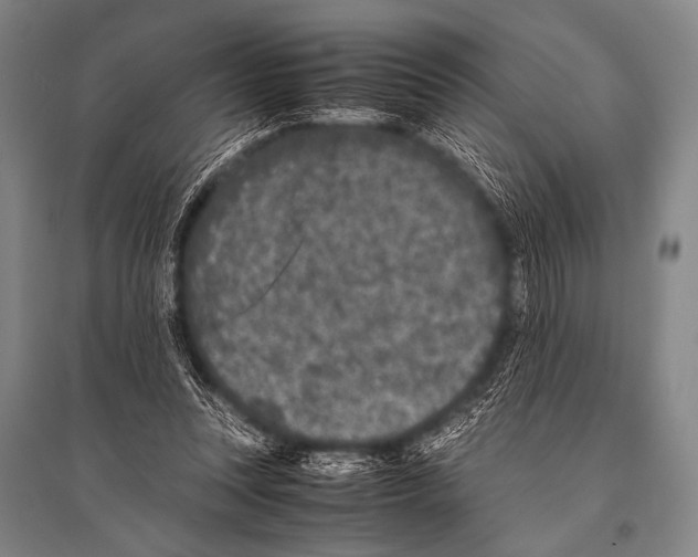 X0000094820351200712141650