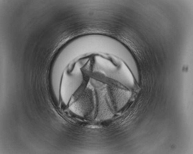 X0000094820352200712141650