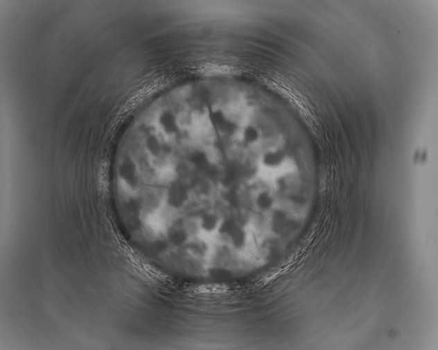 X0000094820353200712141650