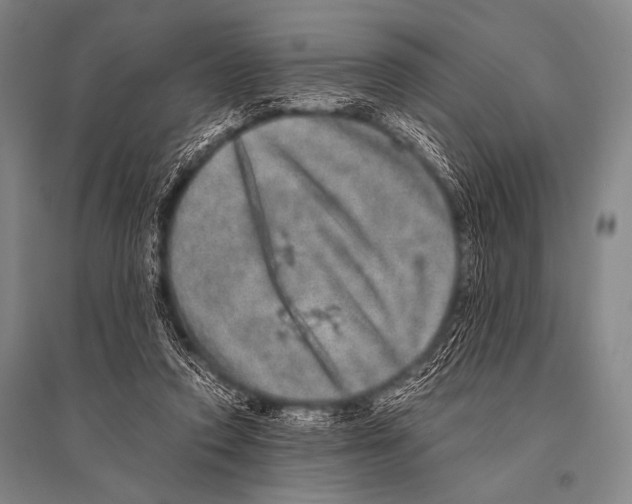 X0000094820354200712141650