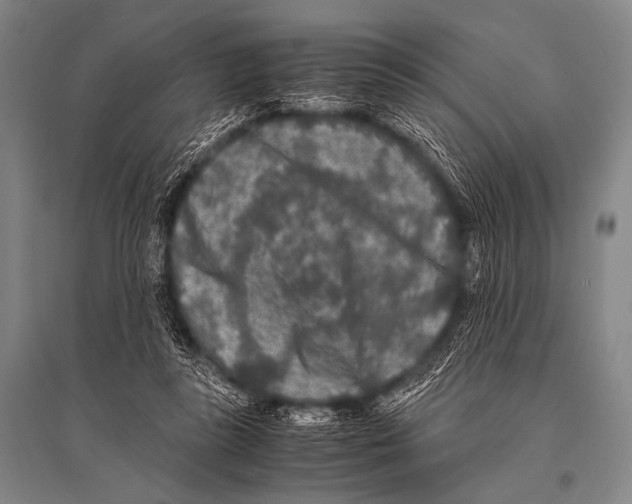 X0000094820355200712141650