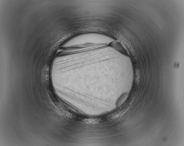 X0000094820356200712141650