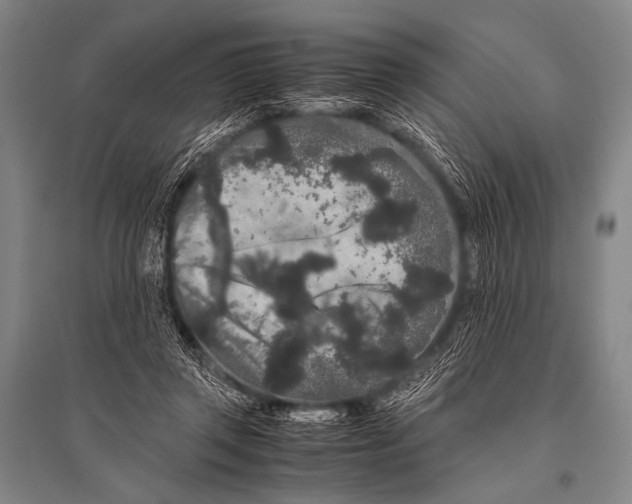 X0000094820357200712141650