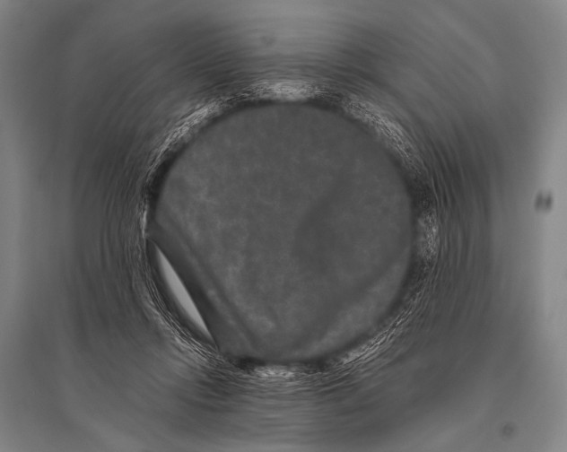 X0000094820358200712141650