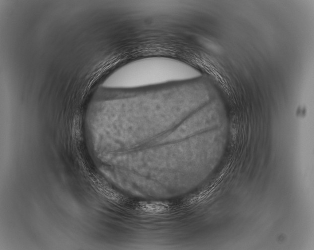 X0000094820359200712141650