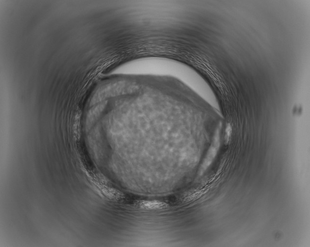 X0000094820360200712141650