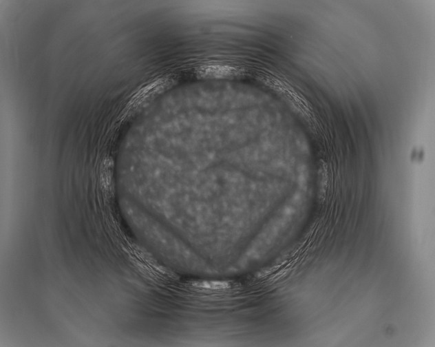 X0000094820361200712141650