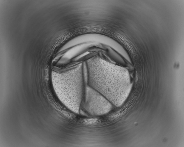 X0000094820362200712141650