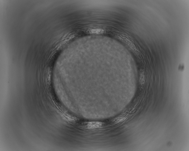 X0000094820363200712141650