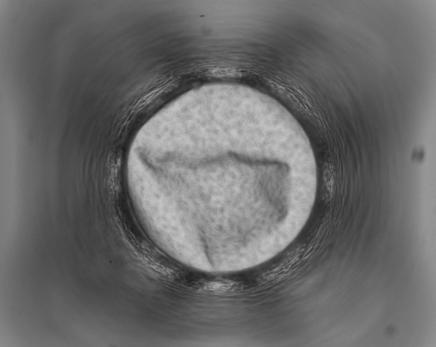 X0000094820364200712141650