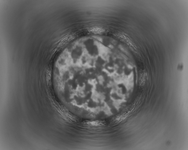 X0000094820365200712141650