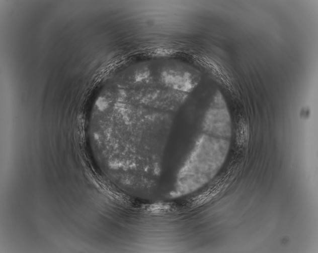 X0000094820366200712141650