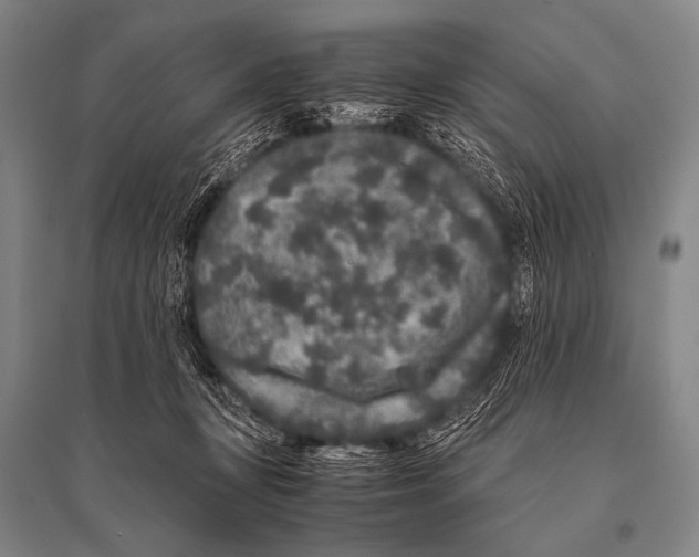 X0000094820367200712141650