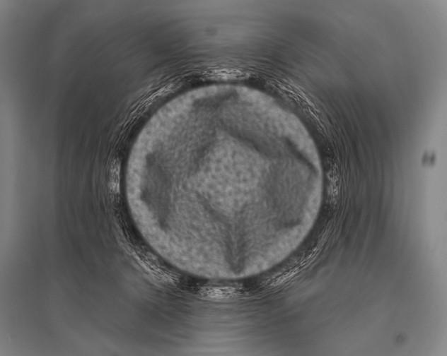 X0000094820368200712141650