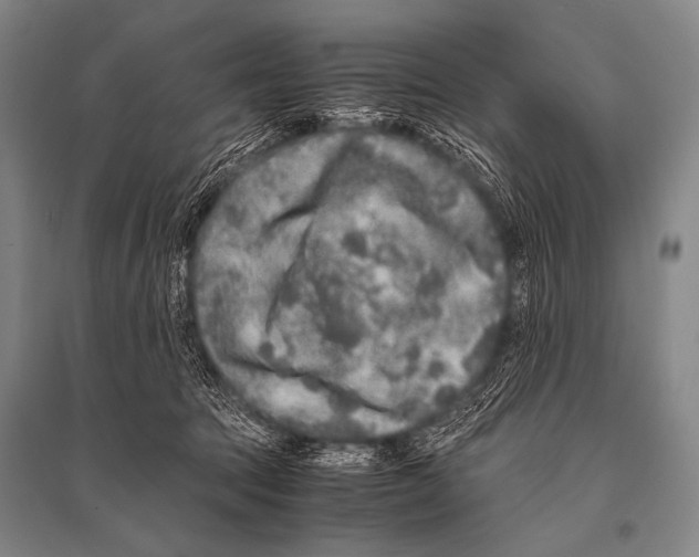 X0000094820369200712141650