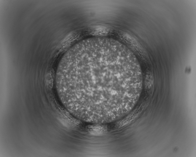 X0000094820370200712141650